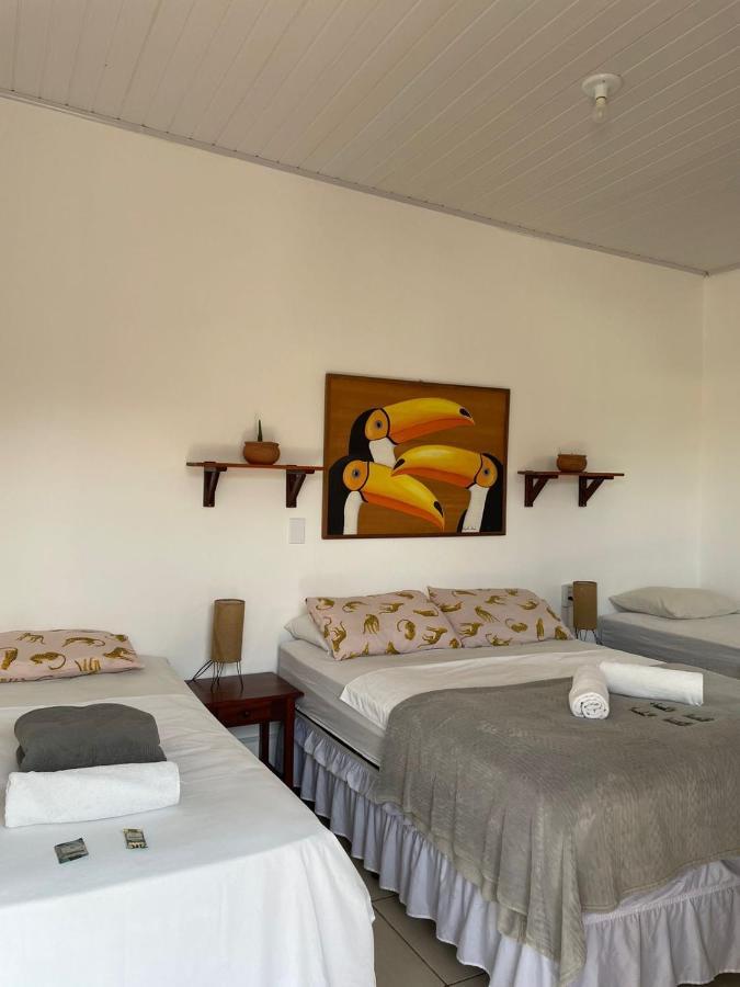 Chill Hostel